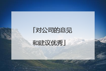对公司的意见和建议优秀