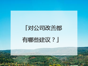 对公司改善都有哪些建议？
