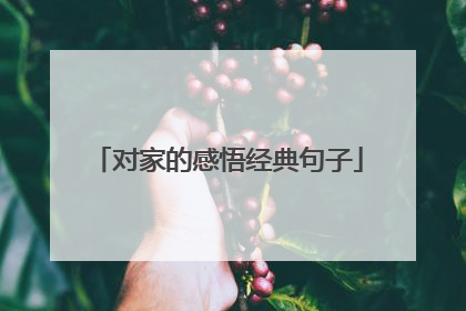 对家的感悟经典句子