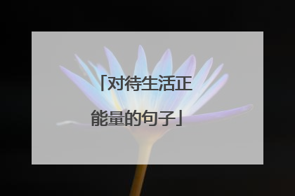 对待生活正能量的句子