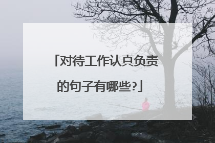 对待工作认真负责的句子有哪些?