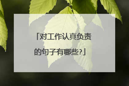 对工作认真负责的句子有哪些?