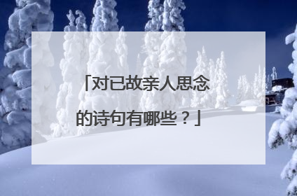 对已故亲人思念的诗句有哪些?
