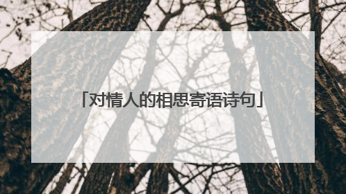对情人的相思寄语诗句