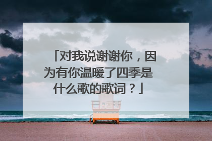对我说谢谢你,因为有你温暖了四季是什么歌的歌词?