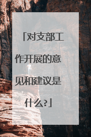 对支部工作开展的意见和建议是什么?