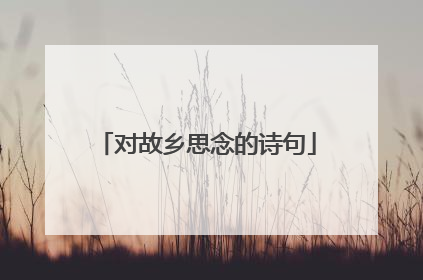 对故乡思念的诗句