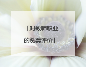 对教师职业的赞美评价