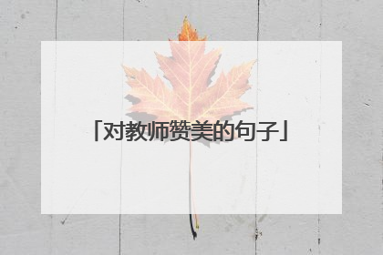 对教师赞美的句子