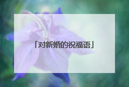 对新婚的祝福语