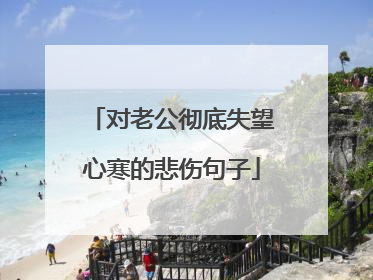 对老公彻底失望心寒的悲伤句子