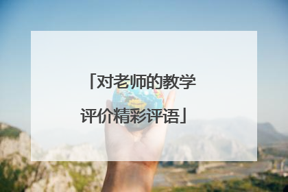 对老师的教学评价精彩评语