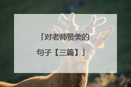 对老师赞美的句子【三篇】