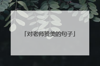 对老师赞美的句子