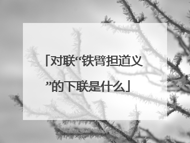 对联“铁臂担道义”的下联是什么