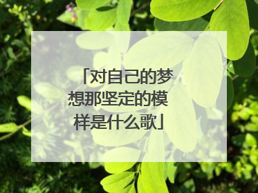 对自己的梦想那坚定的模样是什么歌