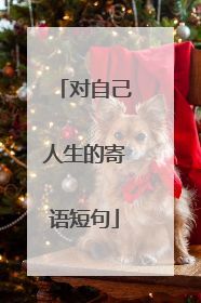 对自己人生的寄语短句