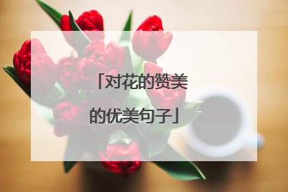 对花的赞美的优美句子