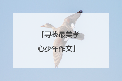 寻找最美孝心少年作文
