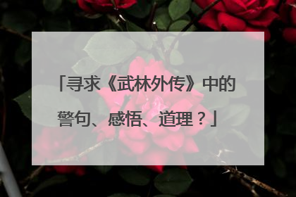 寻求《武林外传》中的警句、感悟、道理？