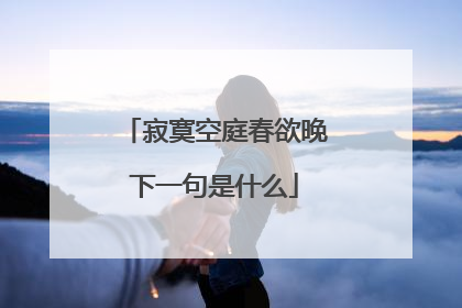 寂寞空庭春欲晚下一句是什么