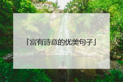 富有诗意的优美句子