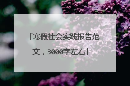 寒假社会实践报告范文，3000字左右