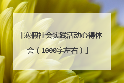 寒假社会实践活动心得体会（1000字左右）