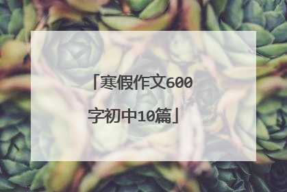 寒假作文600字初中10篇