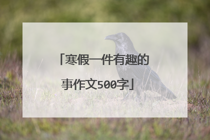 寒假一件有趣的事作文500字