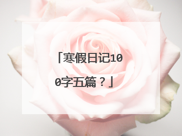 寒假日记100字五篇？