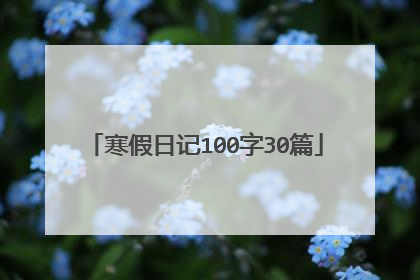 寒假日记100字30篇