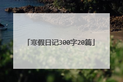 寒假日记300字20篇