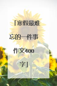 寒假最难忘的一件事作文400字