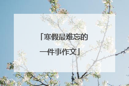 寒假最难忘的一件事作文