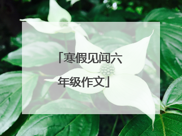 寒假见闻六年级作文