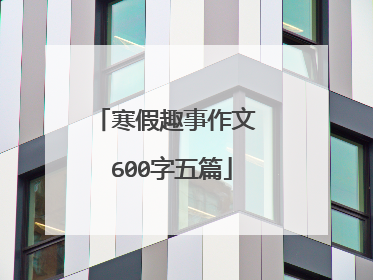 寒假趣事作文 600字五篇