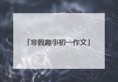 寒假趣事初一作文