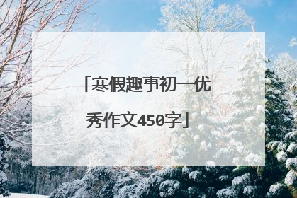 寒假趣事初一优秀作文450字