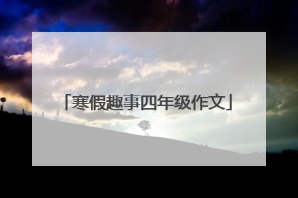 寒假趣事四年级作文