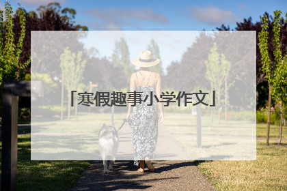 寒假趣事小学作文