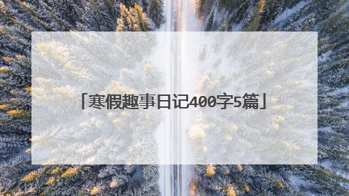 寒假趣事日记400字5篇