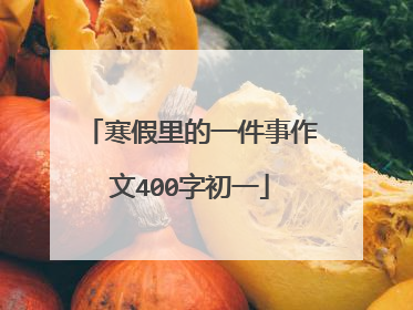 寒假里的一件事作文400字初一