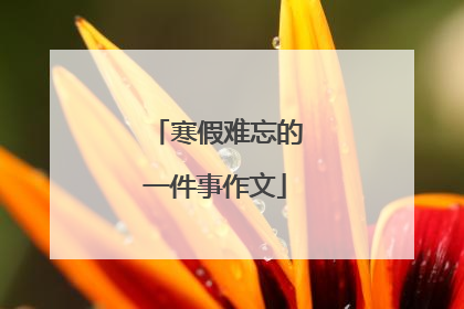 寒假难忘的一件事作文