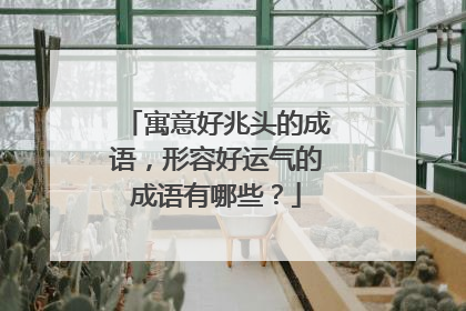 寓意好兆头的成语，形容好运气的成语有哪些？