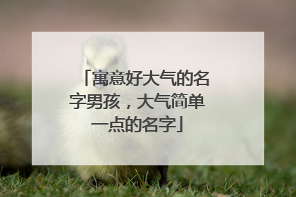 寓意好大气的名字男孩,大气简单一点的名字