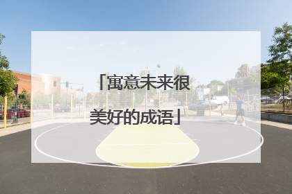 寓意未来很美好的成语