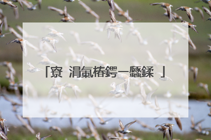 寮�涓氭椿鍔ㄧ瓥鍒�