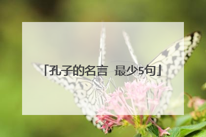 孔子的名言 最少5句