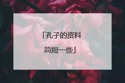 孔子的资料 简短一些